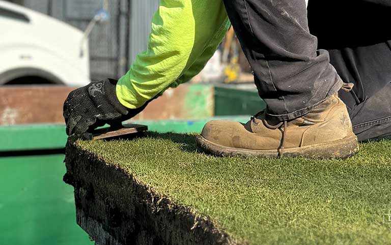 From Baseball to Cricket: Oakland Coliseum Prepares for a New Chapter