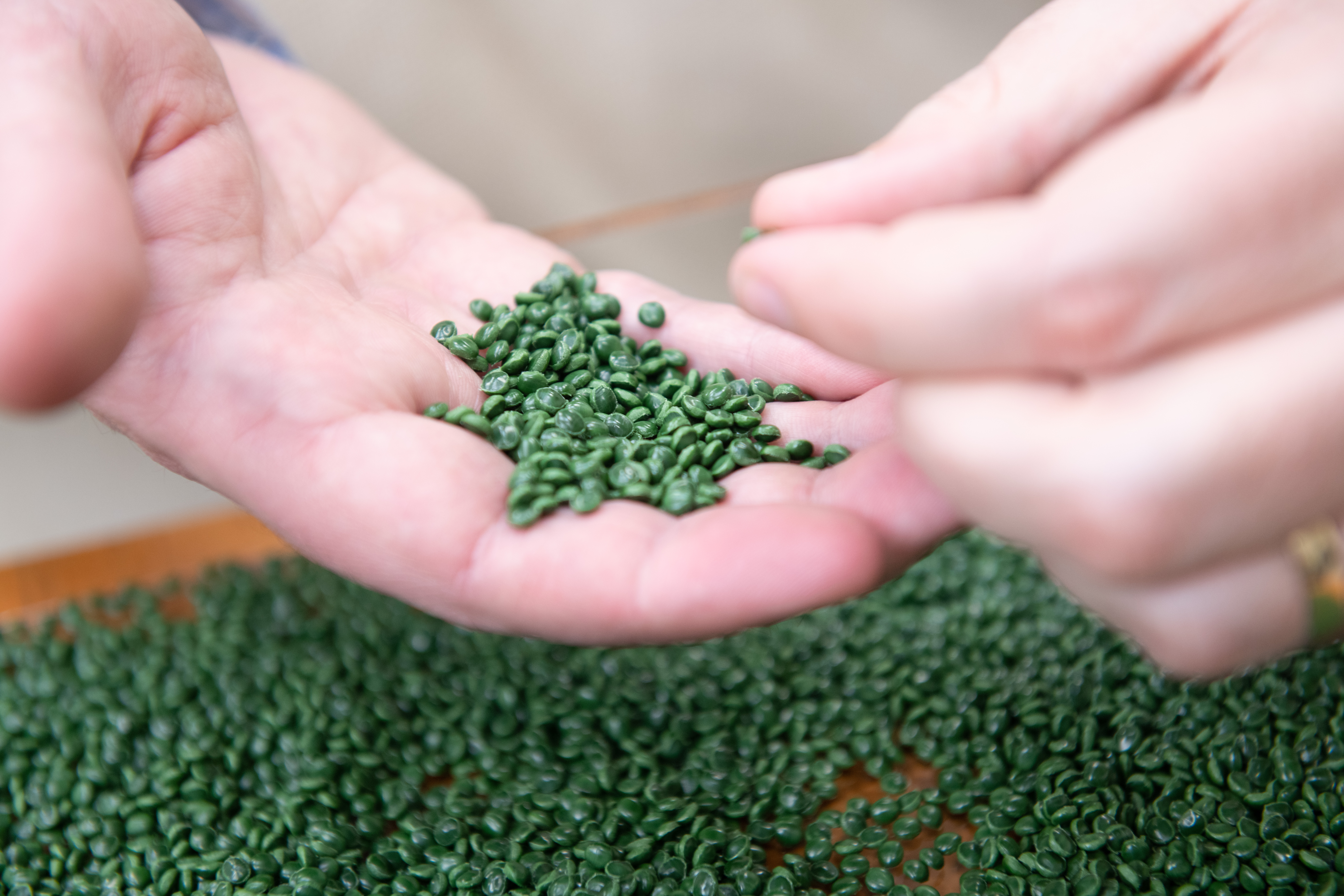Close-up of hands holding and sorting small green plastic granules.